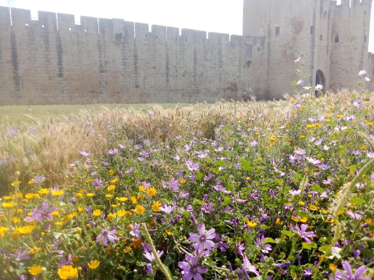 La Maison Perchee Aigues-Mortes Exteriör bild