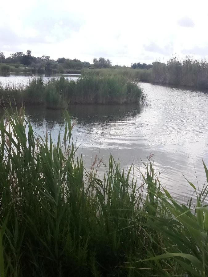 La Maison Perchee Aigues-Mortes Exteriör bild