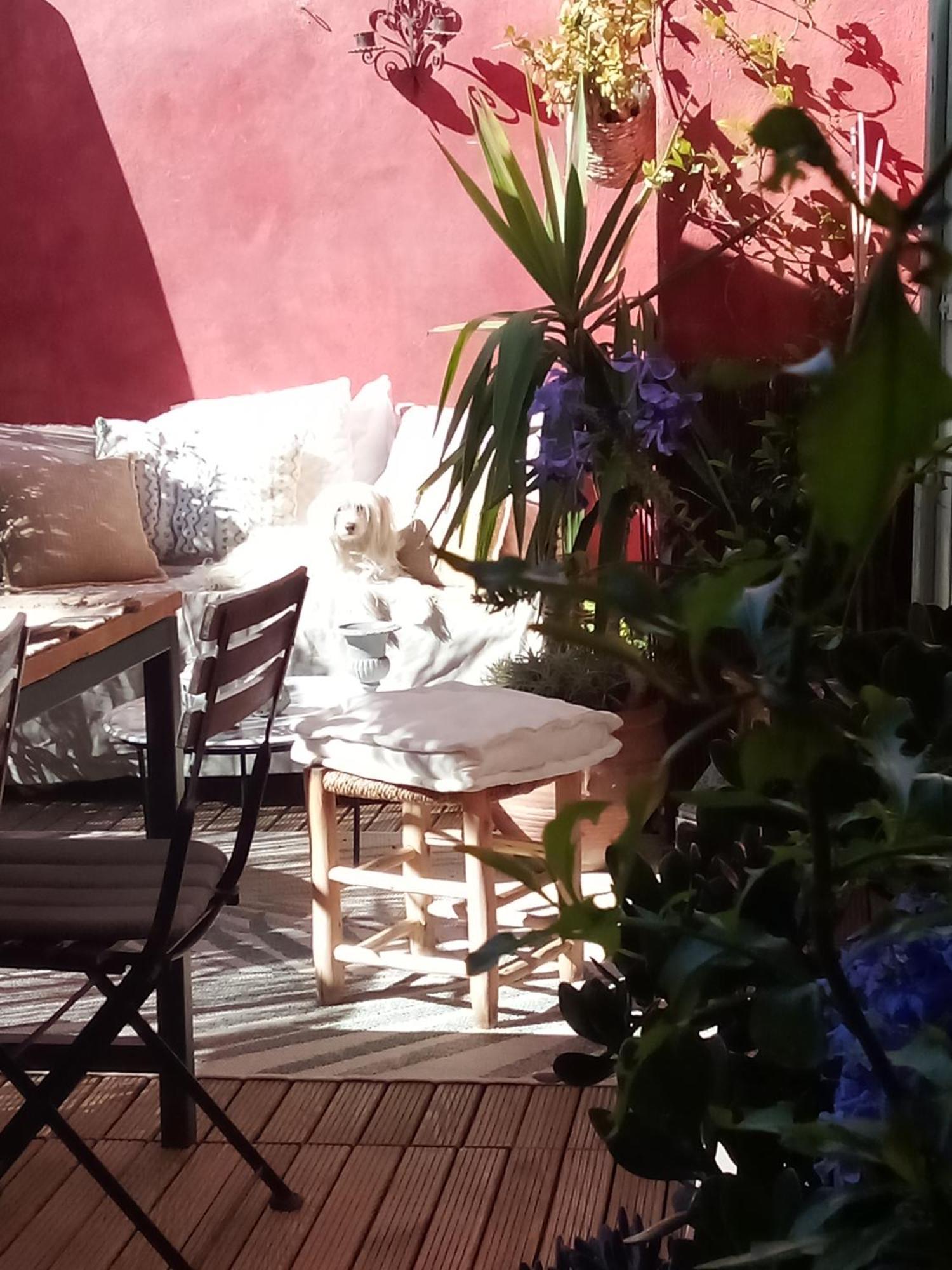 La Maison Perchee Aigues-Mortes Rum bild